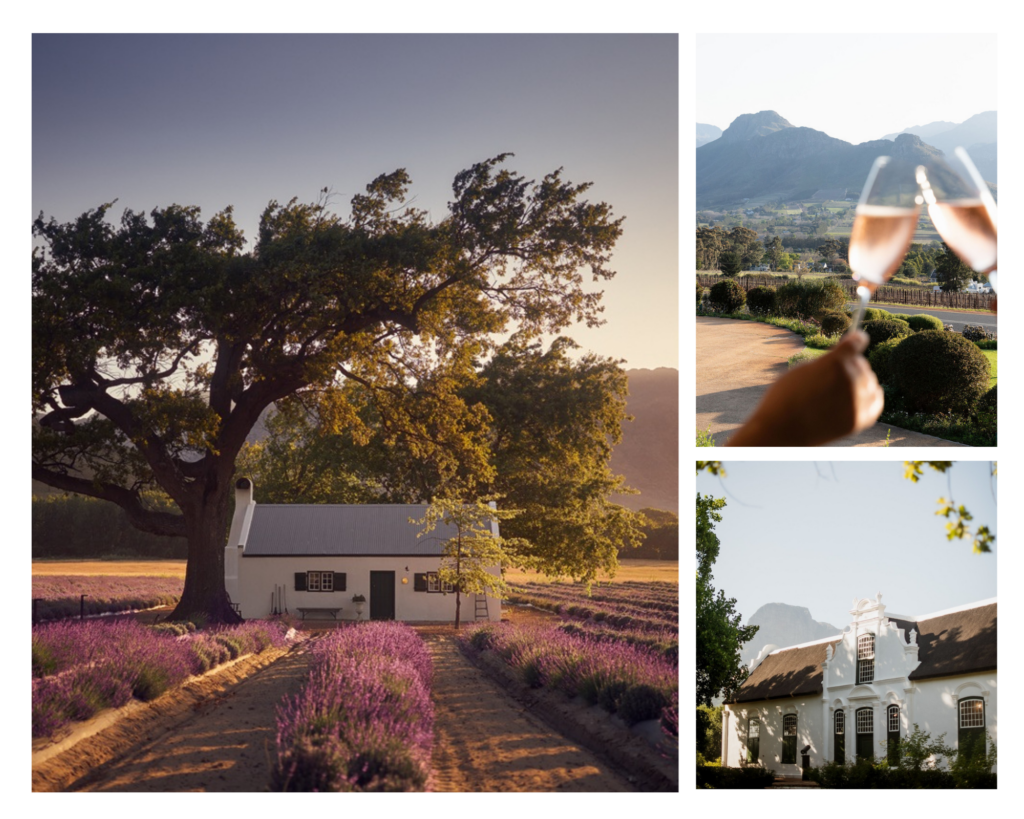 Family Friendly Wine Tours Cape Town
